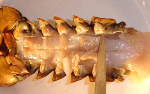 baking lobster tail6