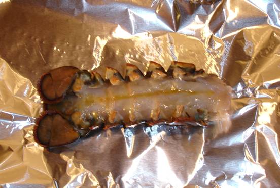 baking lobster tail9